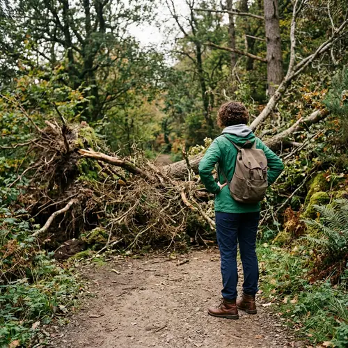 Overcoming Obstacles: Inspiring Journey to Success