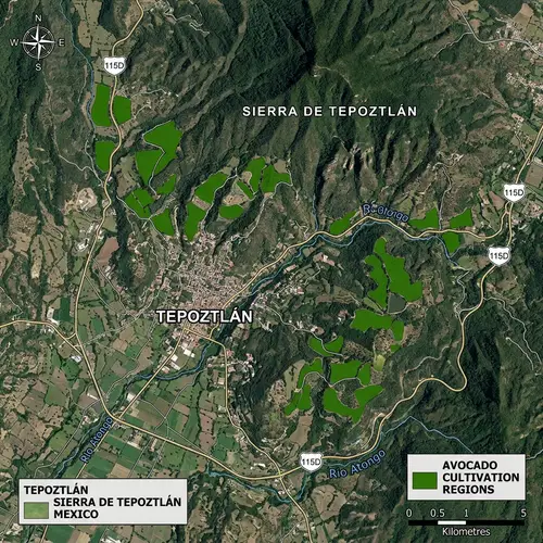 Avocado Cultivation Regions in Tepoztlán, Morelos, Mexico
