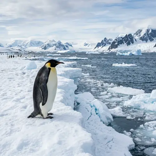 Discover Fascinating Penguins: Nature's Charming Birds