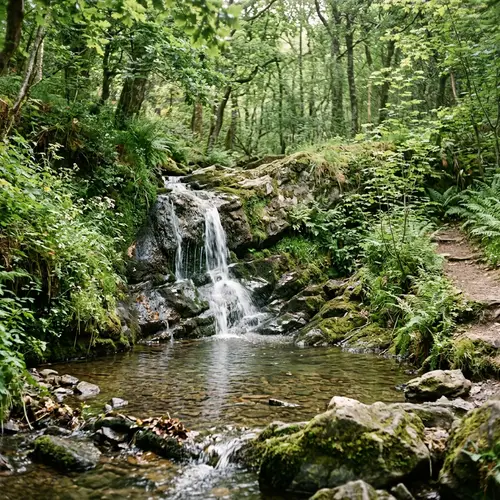 Tranquil Small Waterfall | Nature's Beauty