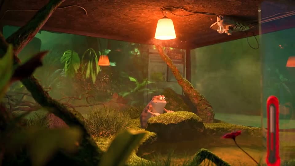 Move the lizard into a new terrarium